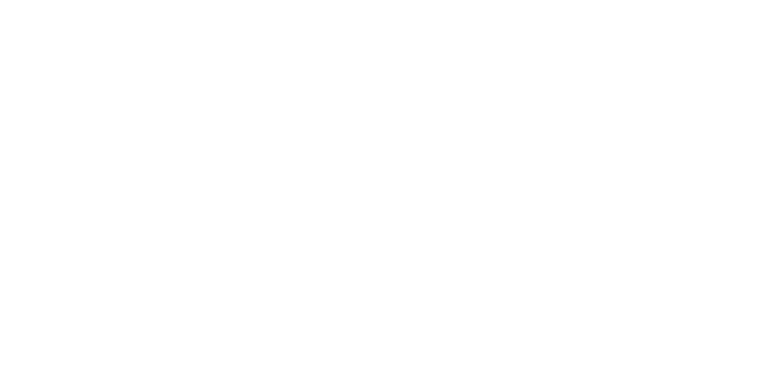 White logo on a light gray background featuring a stylized “B” with an eagle’s head on the left, and the text “BORO Transport Corp” to the right.